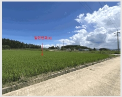  2025Ÿ��290 ���� ��â�� ���ϸ� ������ 1711      ����(��)���