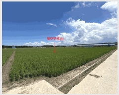  2025Ÿ��290 ���� ��â�� ���ϸ� ������ 1711      ����(��)���