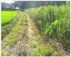  2025Ÿ��290 ���� ��â�� ���ϸ� ������ 1711      ����(��)���