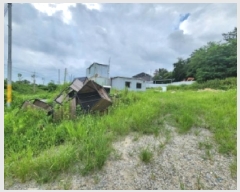  2025Ÿ��294 ���� ������ ������ 611       ����(��1)���