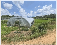  2025Ÿ��297 ���� ��â�� ������ ������ 95      ����(��)���