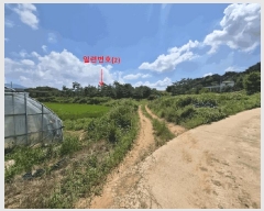  2025Ÿ��297 ���� ��â�� ������ ������ 95      ����(��)���