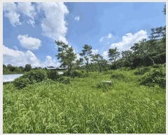  2025Ÿ��297 ���� ��â�� ������ ������ 95      ����(��)���