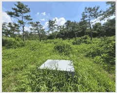  2025Ÿ��297 ���� ��â�� ������ ������ 95      ����(��)���