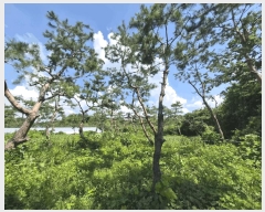  2025Ÿ��297 ���� ��â�� ������ ������ 95      ����(��)���