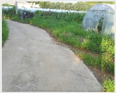  2025Ÿ��297 ���� ��â�� ������ ������ 95      ����(��)���