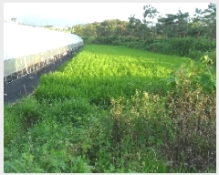  2025Ÿ��297 ���� ��â�� ������ ������ 95      ����(��)���