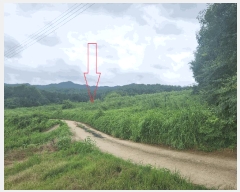  2025Ÿ��308 ���� ������ �˵��� ĥ���� 422-1      ����(�Ӿ�)���