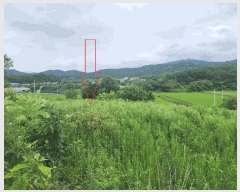  2025Ÿ��308 ���� ������ �˵��� ĥ���� 422-1      ����(�Ӿ�)���