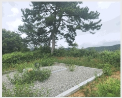  2025Ÿ��308 ���� ������ �˵��� ĥ���� 422-1      ����(�Ӿ�)���