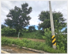  2025Ÿ��308 ���� ������ �˵��� ĥ���� 422-1      ����(�Ӿ�)���