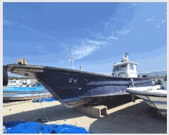  2025Ÿ314 ξȱ          ڰ