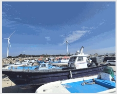  2025Ÿ314 ξȱ          ڰ