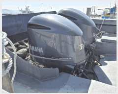  2025Ÿ314 ξȱ          ڰ