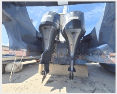  2025Ÿ314 ξȱ          ڰ