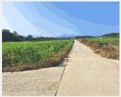  2025Ÿ��315  ����