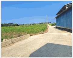  2025Ÿ��315  ����