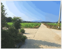  2025Ÿ��315  ����