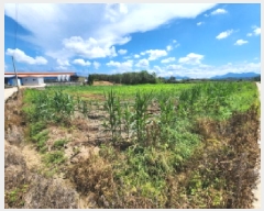  2025Ÿ��315  ����