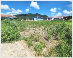  2025Ÿ��315  ����