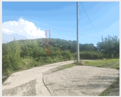  2025Ÿ��319  �����