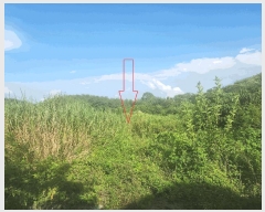  2025Ÿ��319  �����