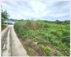  2025Ÿ��319  �����