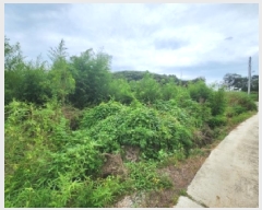  2025Ÿ��319  �����