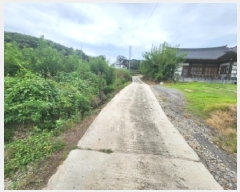  2025Ÿ��319  �����