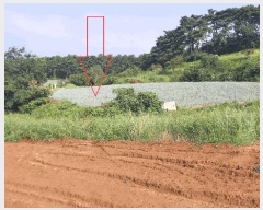  2025Ÿ��322 ���� �ξȱ� ����� ������ 188-12      ����(��1)���