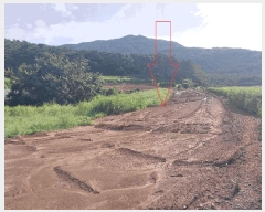  2025Ÿ��322 ���� �ξȱ� ����� ������ 188-12      ����(��1)���