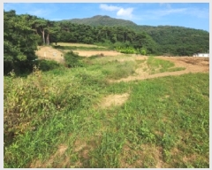  2025Ÿ��322 ���� �ξȱ� ����� ������ 188-12      ����(��1)���