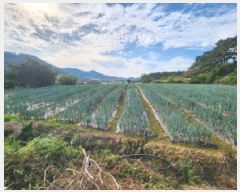  2025Ÿ��322 ���� �ξȱ� ����� ������ 188-12      ����(��1)���