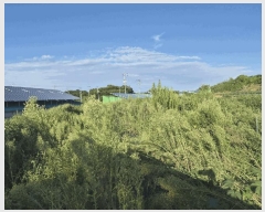  2025Ÿ��328  �����