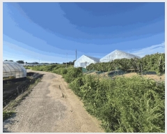  2025Ÿ��328  �����