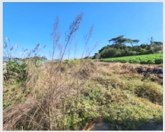  2025Ÿ��328  �����