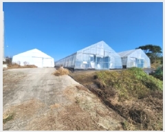  2025Ÿ��328  �����