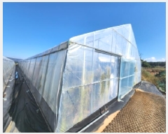  2025Ÿ��328  �����