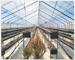  2025Ÿ��328  �����