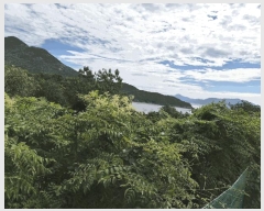  2025Ÿ��336 ���� �ξȱ� ����� ��û�� 96-1      ����(��1)���