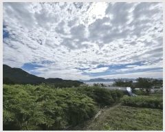  2025Ÿ��336 ���� �ξȱ� ����� ��û�� 96-1      ����(��1)���