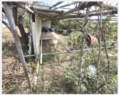  2025Ÿ��336 ���� �ξȱ� ����� ��û�� 96-1      ����(��1)���