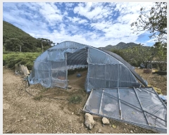  2025Ÿ��336 ���� �ξȱ� ����� ��û�� 96-1      ����(��1)���