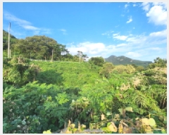  2025Ÿ��336 ���� �ξȱ� ����� ��û�� 96-1      ����(��1)���