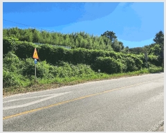  2025Ÿ��346  �����