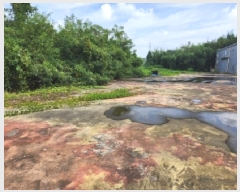  2025Ÿ��346  �����