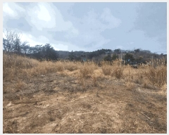  2025Ÿ��30178  �Ӿ߰��