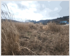  2025Ÿ��30178  �Ӿ߰��