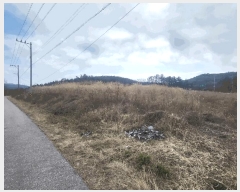  2025Ÿ��30178  �Ӿ߰��