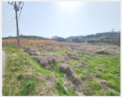  2025Ÿ��30178  �Ӿ߰��